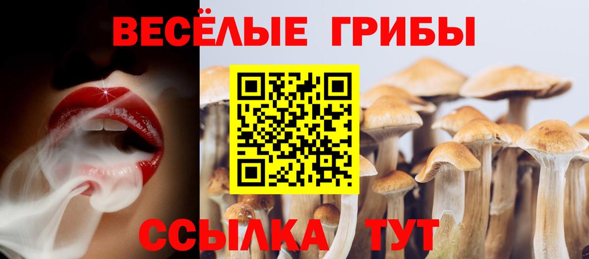Псилоцибиновые грибы MAGIC MUSHROOMS Энгельс